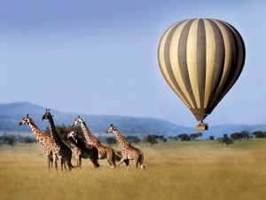 Над Африкой на воздушном шаре фото